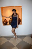 Hamsa Nandini Stills